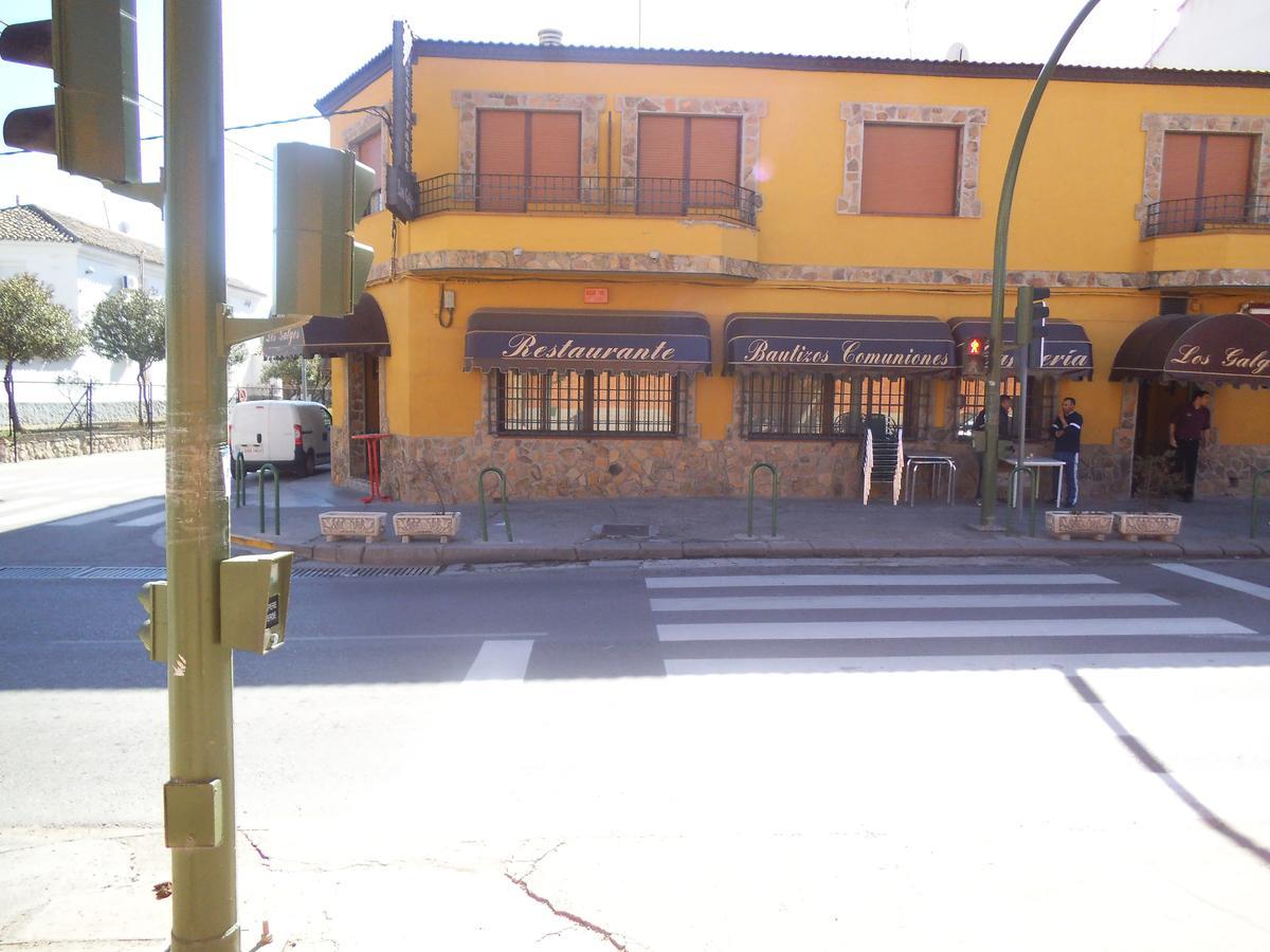 Hostal Los Galgos Yepes Bagian luar foto